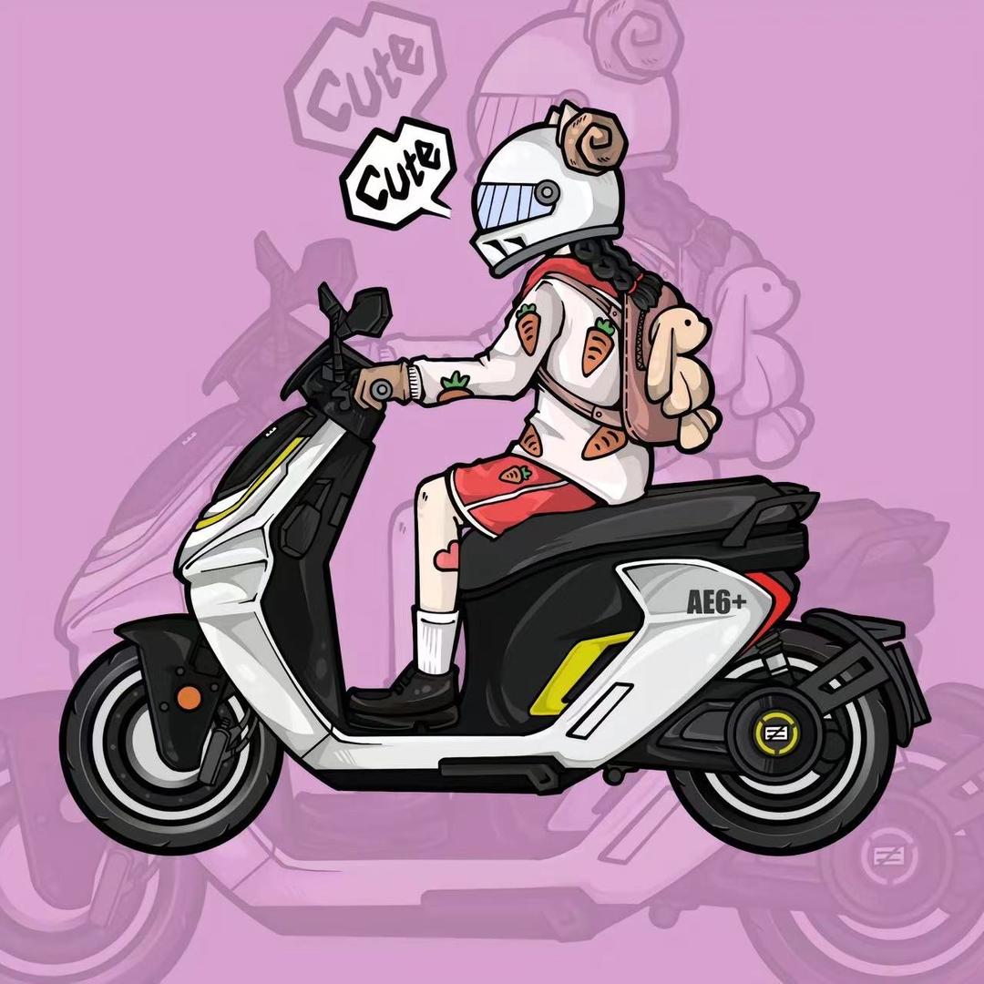 ZEEHO极核电动 新乡