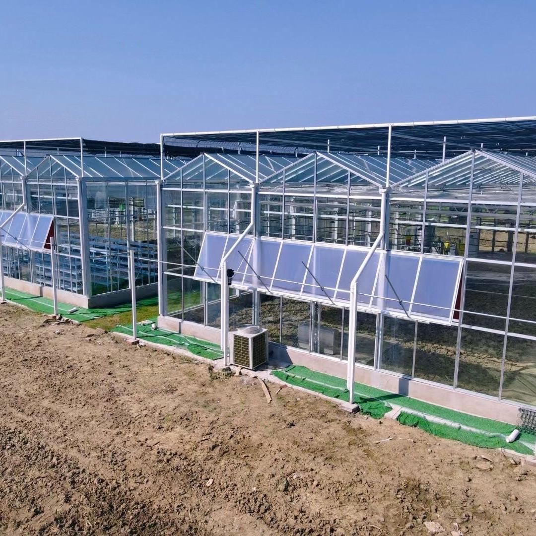 万珅温室大棚厂家直销