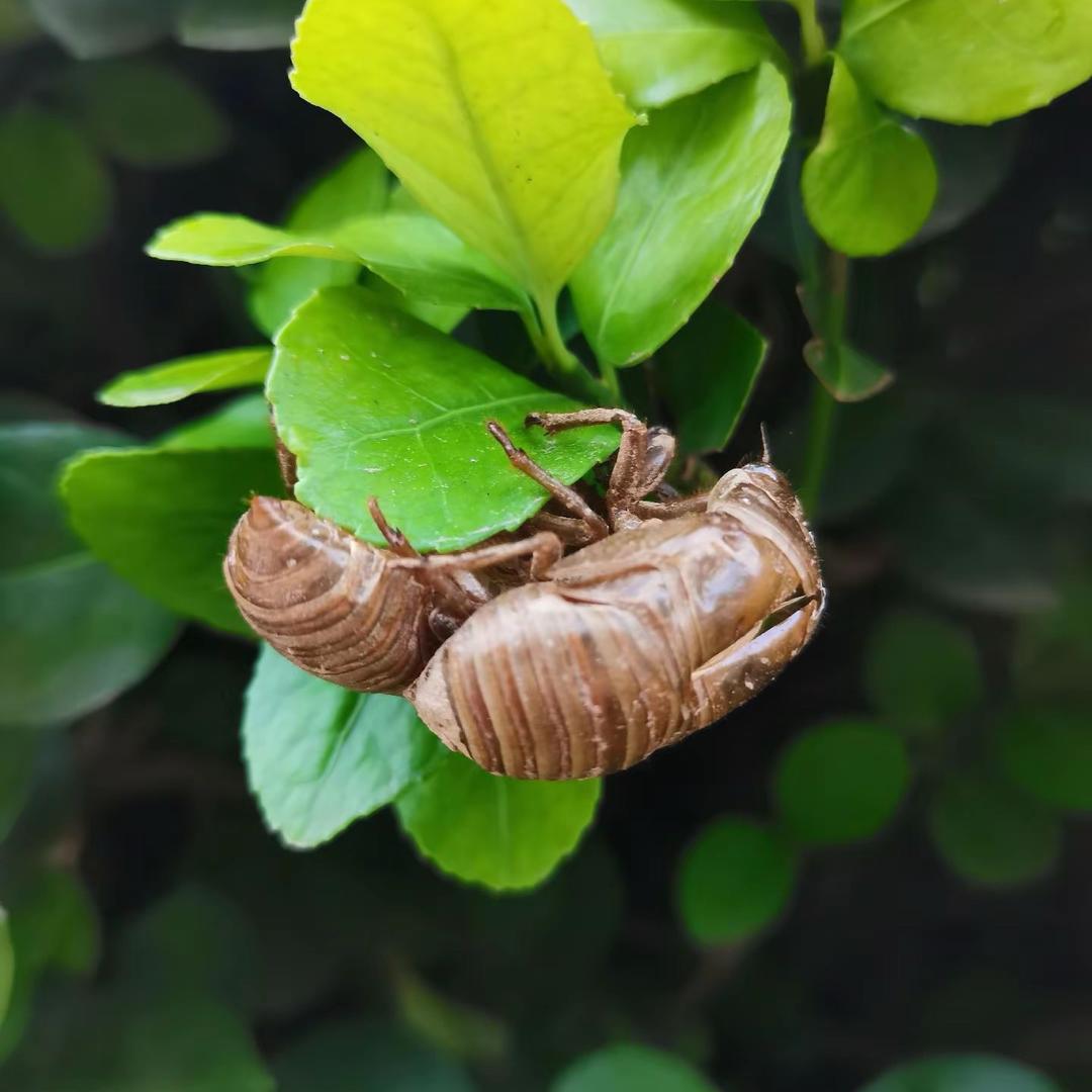 诚信交友 合作共赢