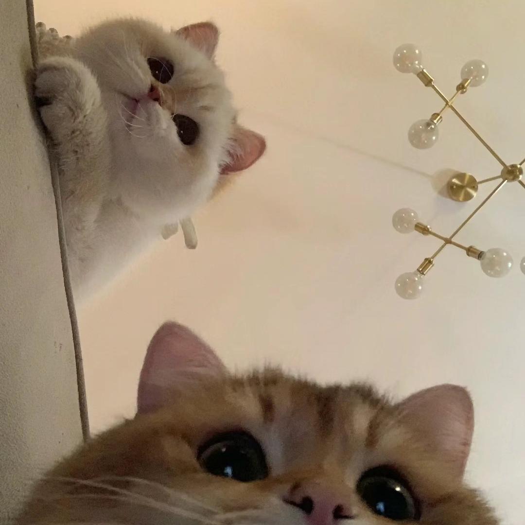 美妆集合店娜娜