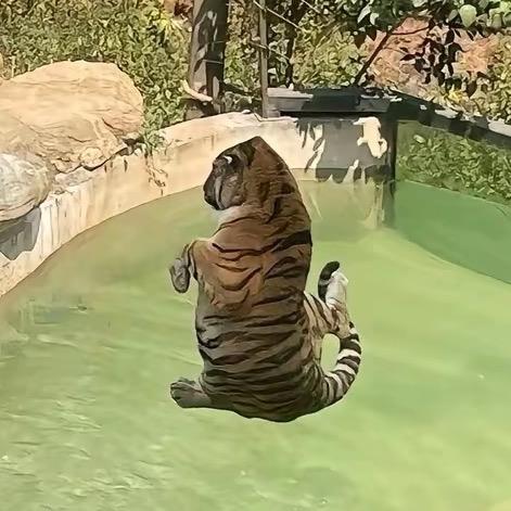 用户名41552073头像