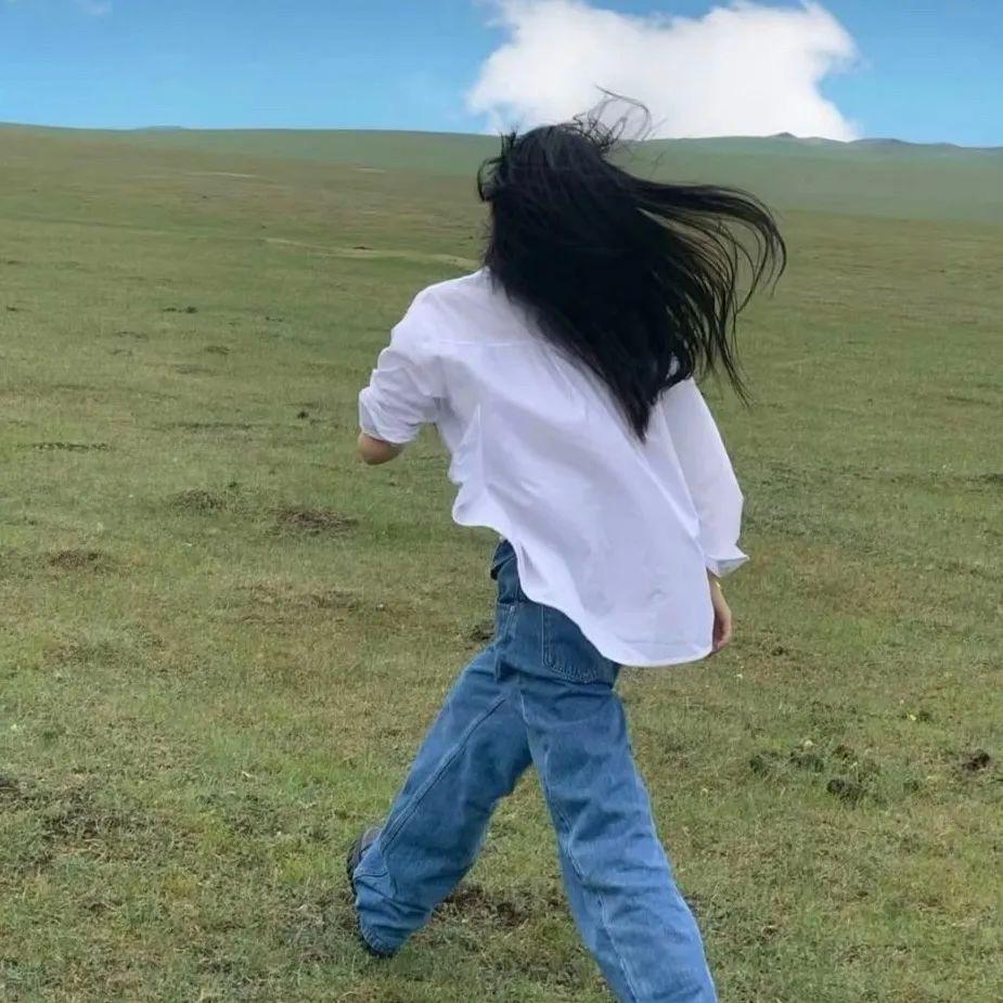 一只狮子り