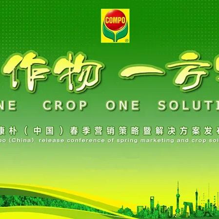 康朴中国