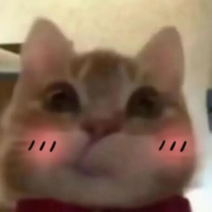魏叉叉