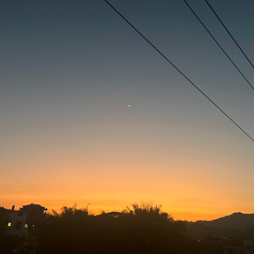 陈某某