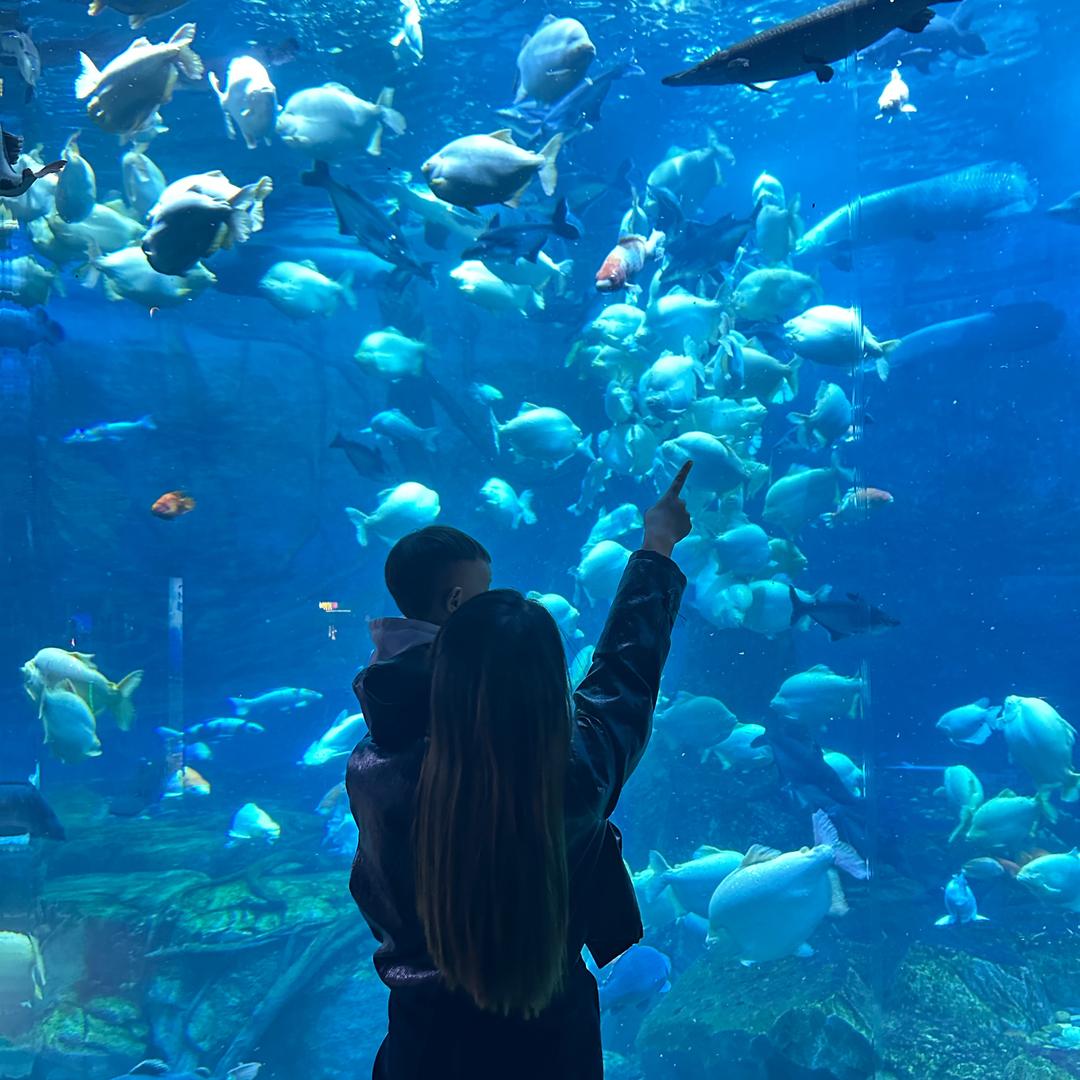 小珍珠吖！F Y D and