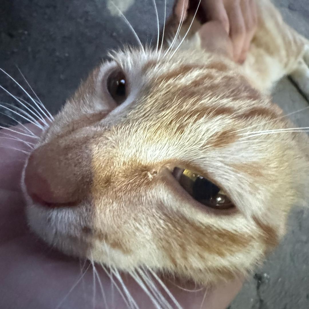 我就无理取闹怎么了