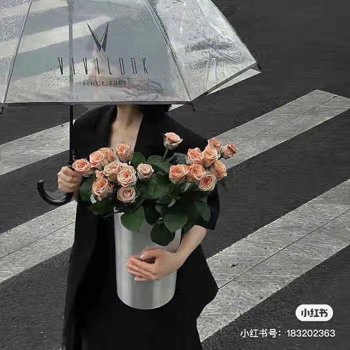 少女暴富