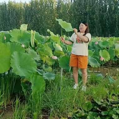 栀子花开zzz