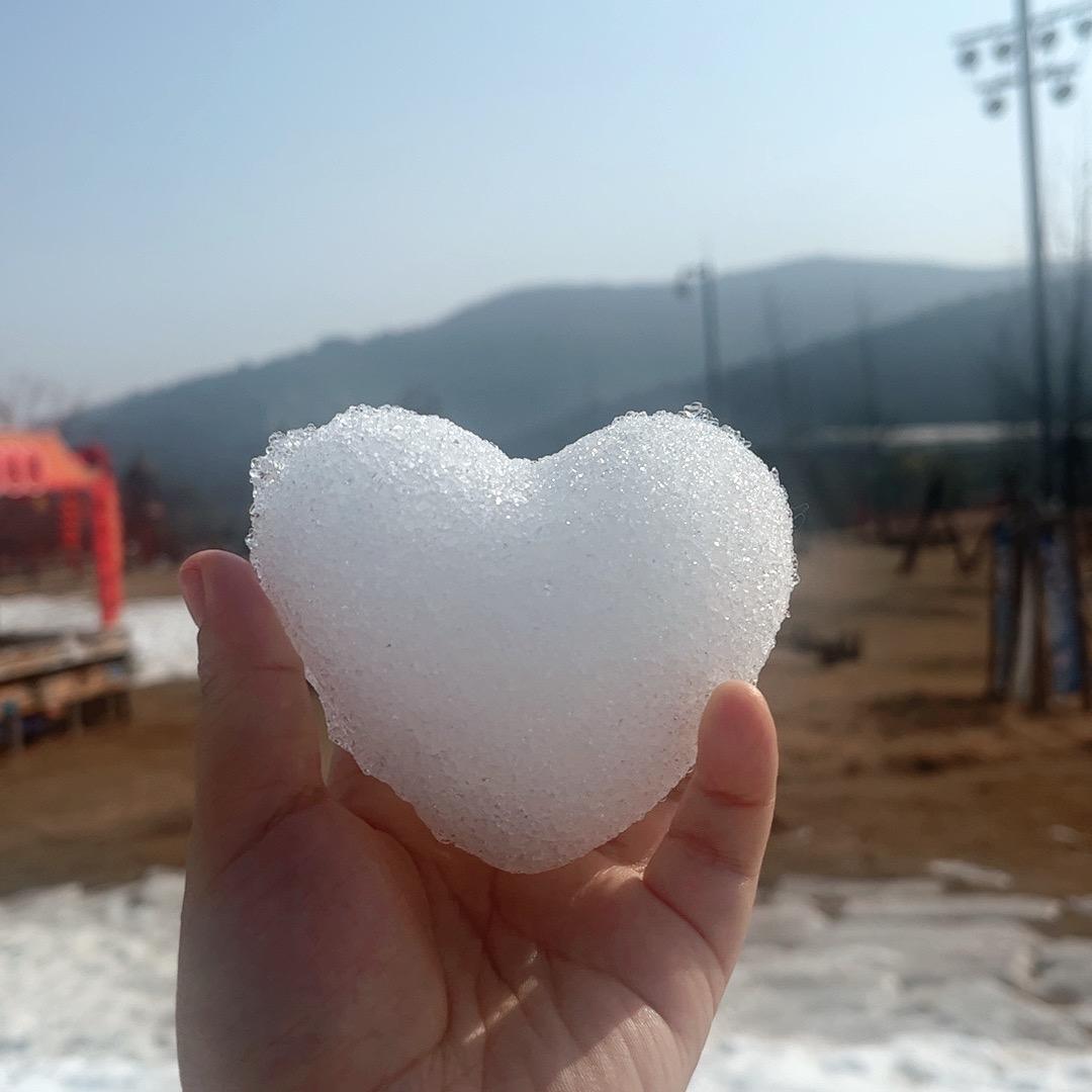 每天都想退休的米粒