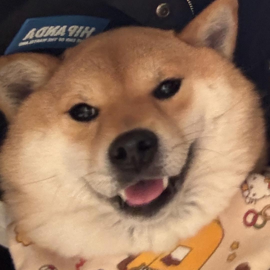 柴柴的点心心
