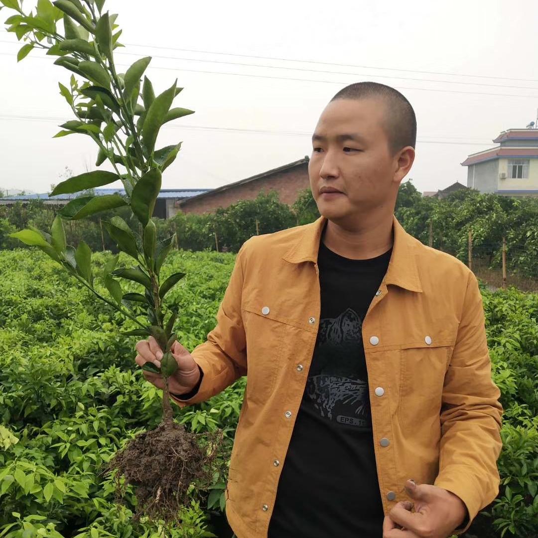 资中县彭联种植家庭农场