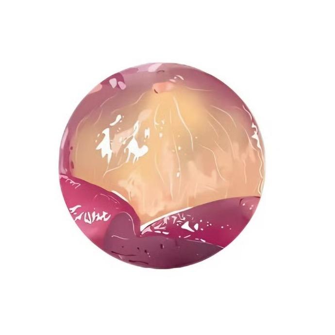 早安鸭