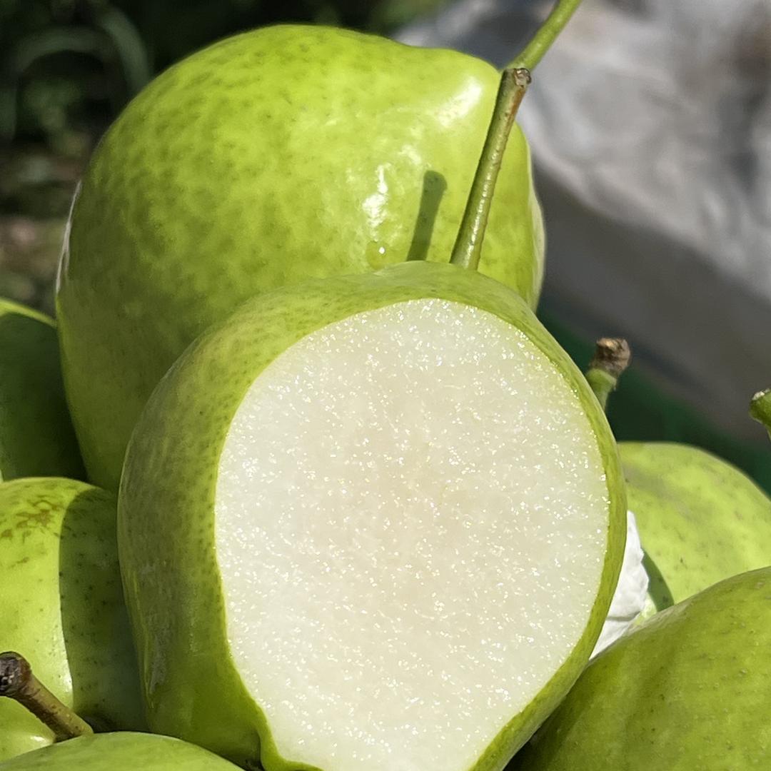 一筐鲜果生鲜农场