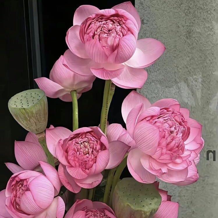 丹阳市云阳镇阔欧珠宝店（个体工商户）