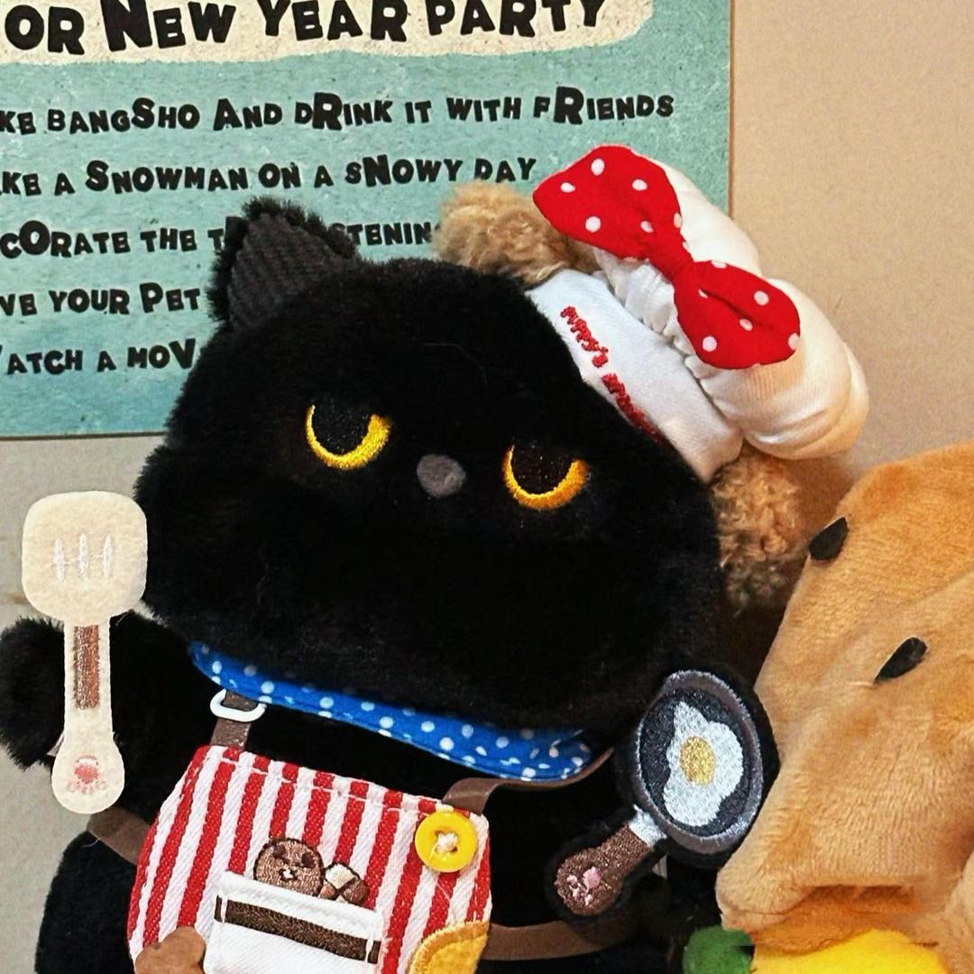 知世不是芝士🧀