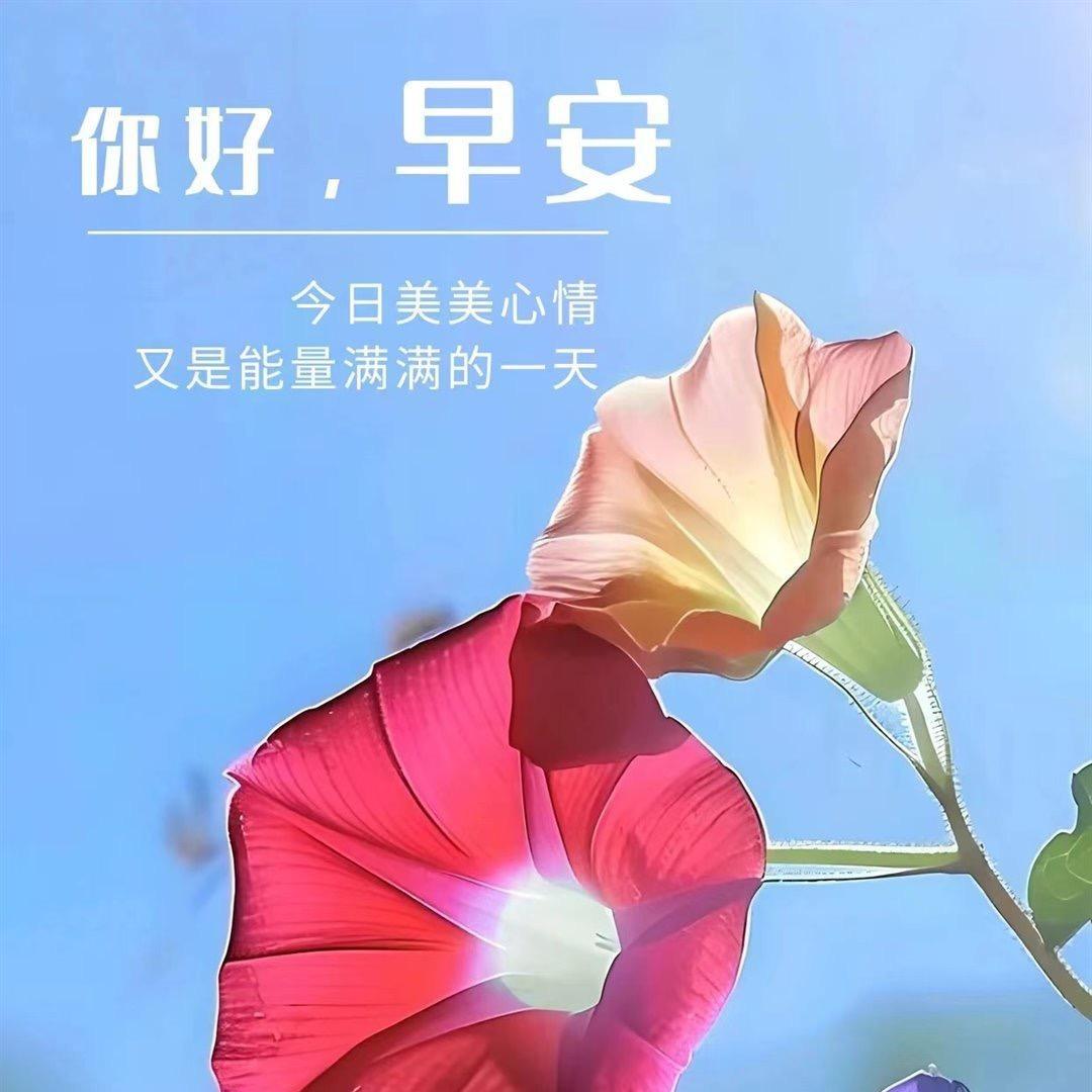 悠悠𝓗