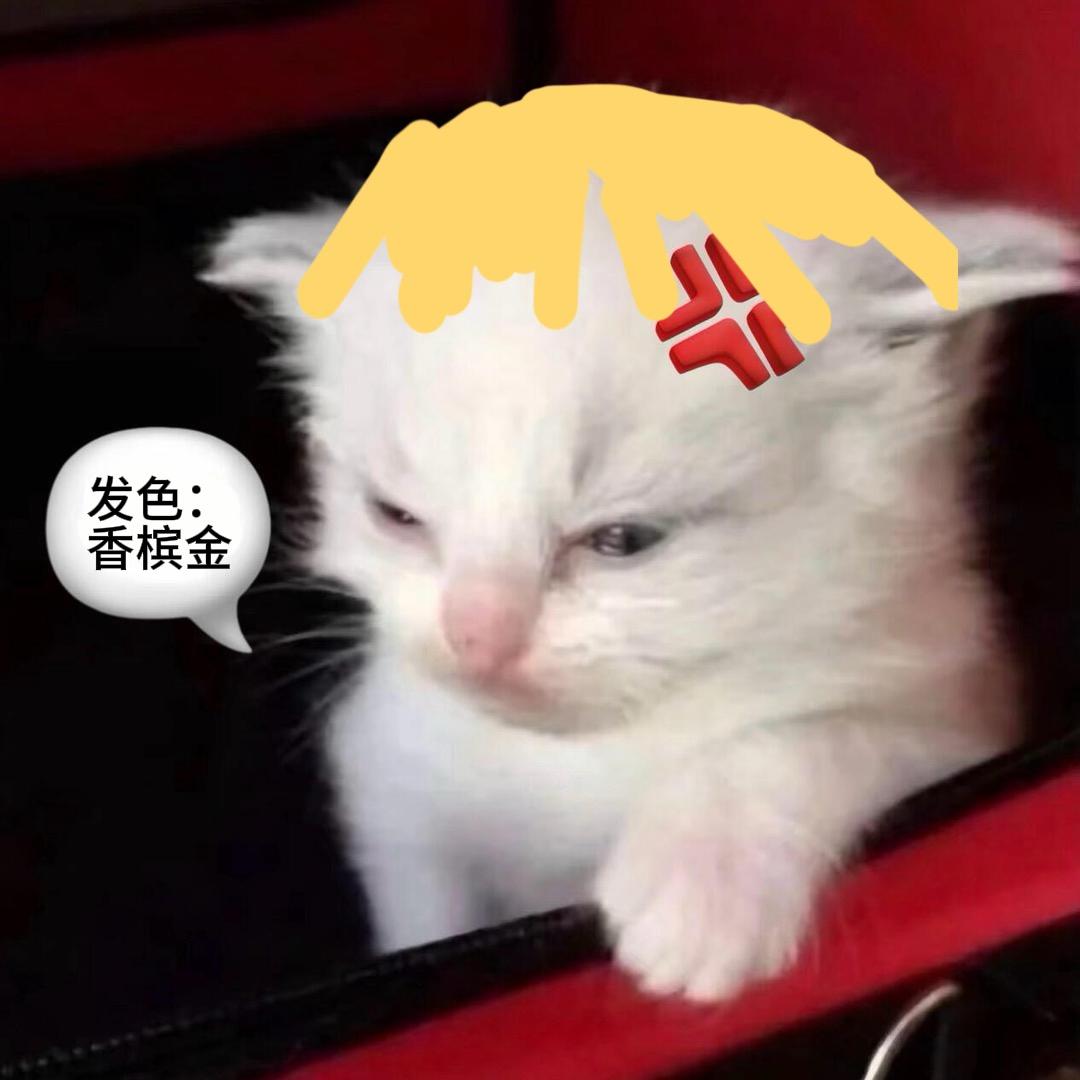 头头_