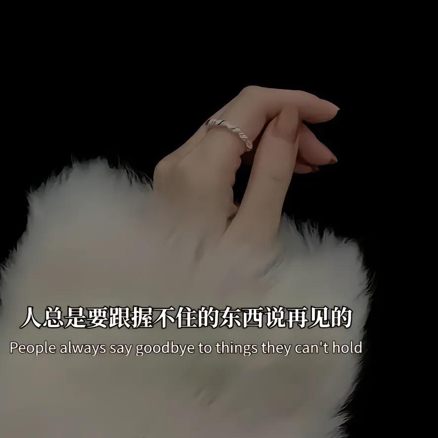 仙女🧚‍♀️的猫