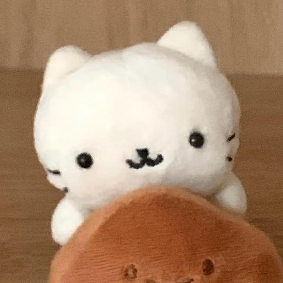 欧石楠.