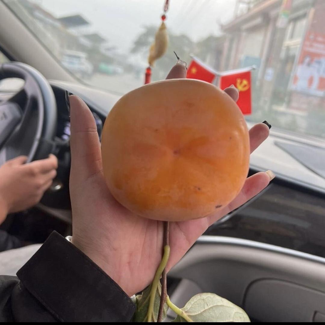 璐瑶果树苗木专营店优选