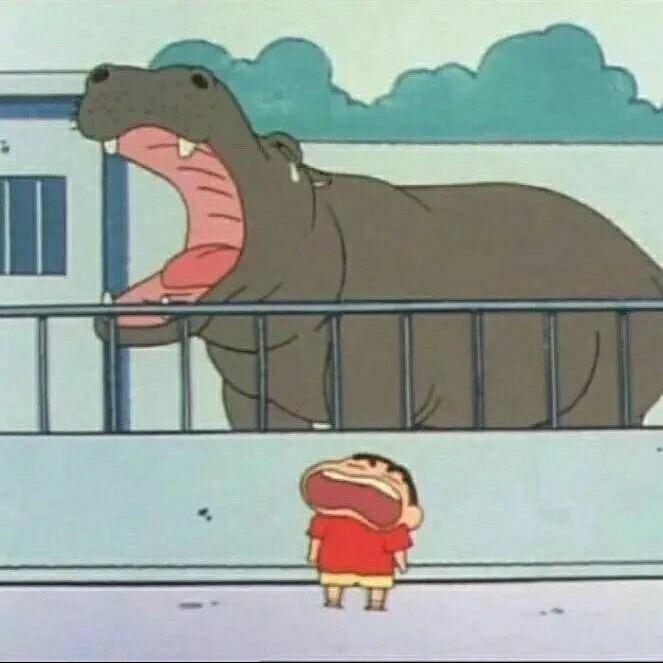 十万伏特可达鸭