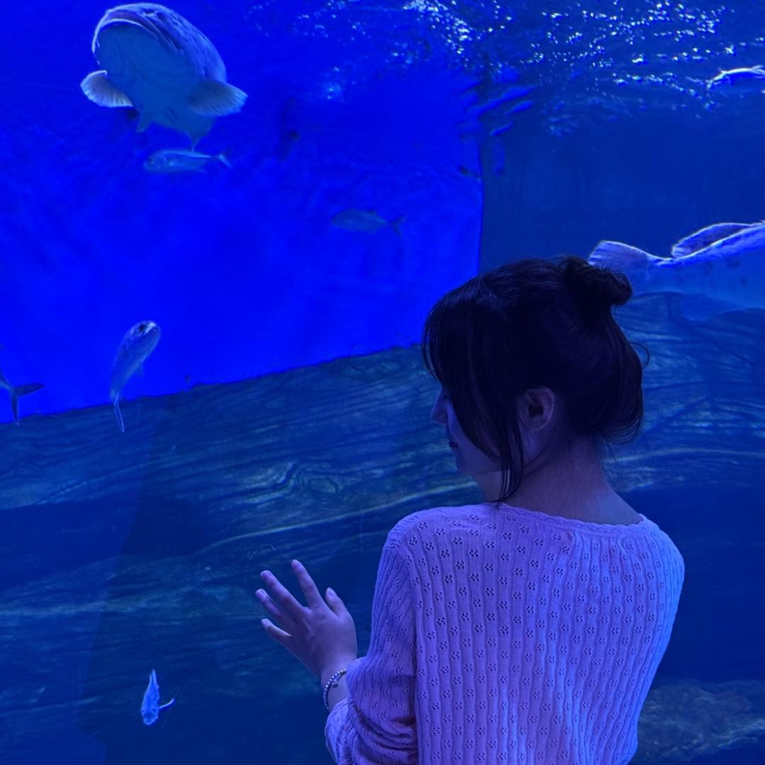 海趣～江知鱼署🐟