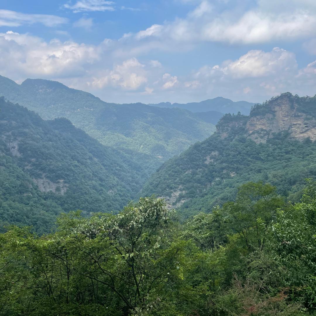 㐅ｘｉｎ甄选阁