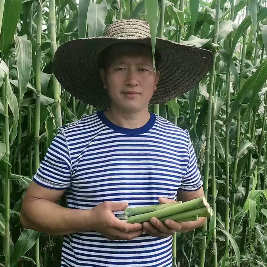 刘哥刘嫂（甜杆）农产品小店