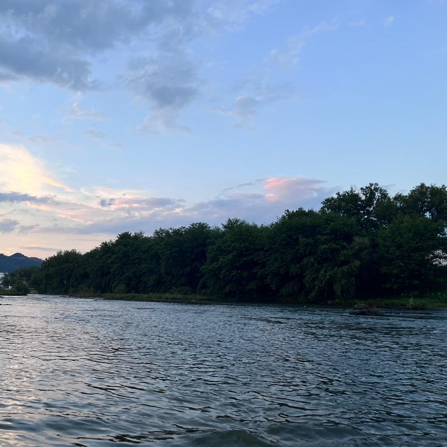 小吴要早点睡觉💤