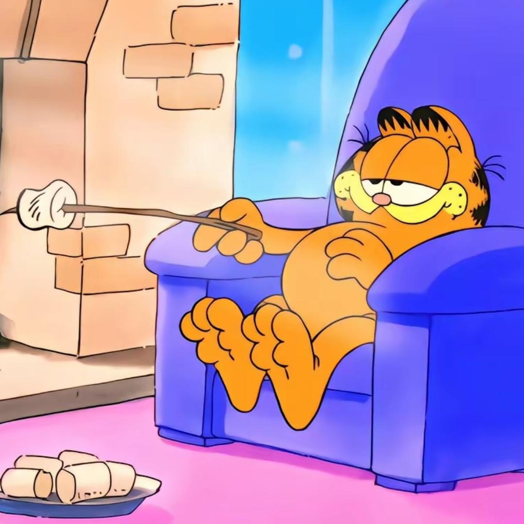 美汝肥猫