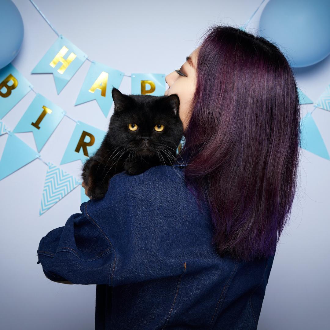 铁锤猫猫🔨🐱🎤