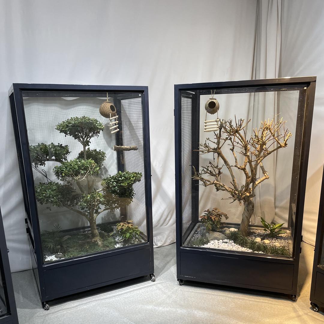 生态鸟笼观景养鸟