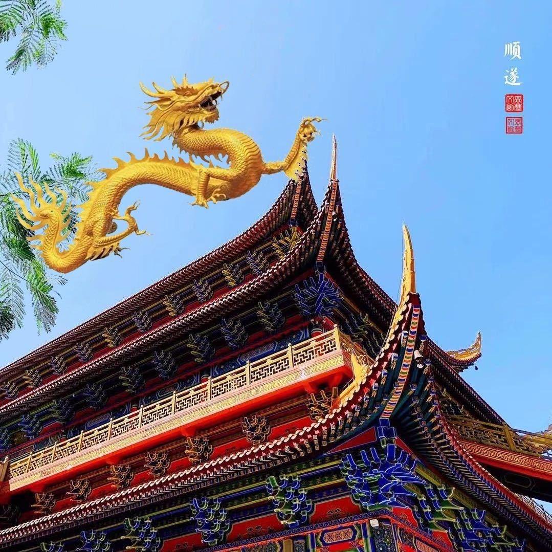 正阳好脾胃
