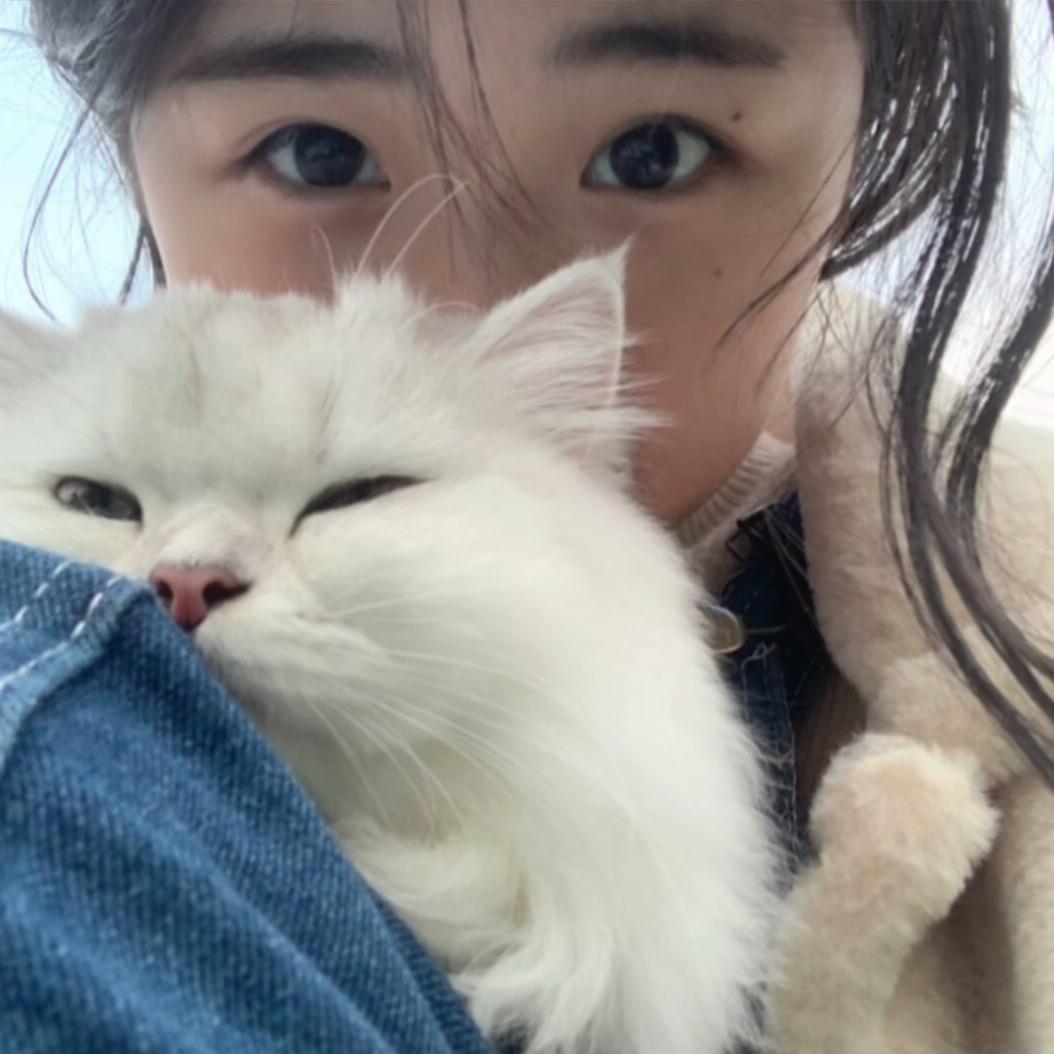 媾史