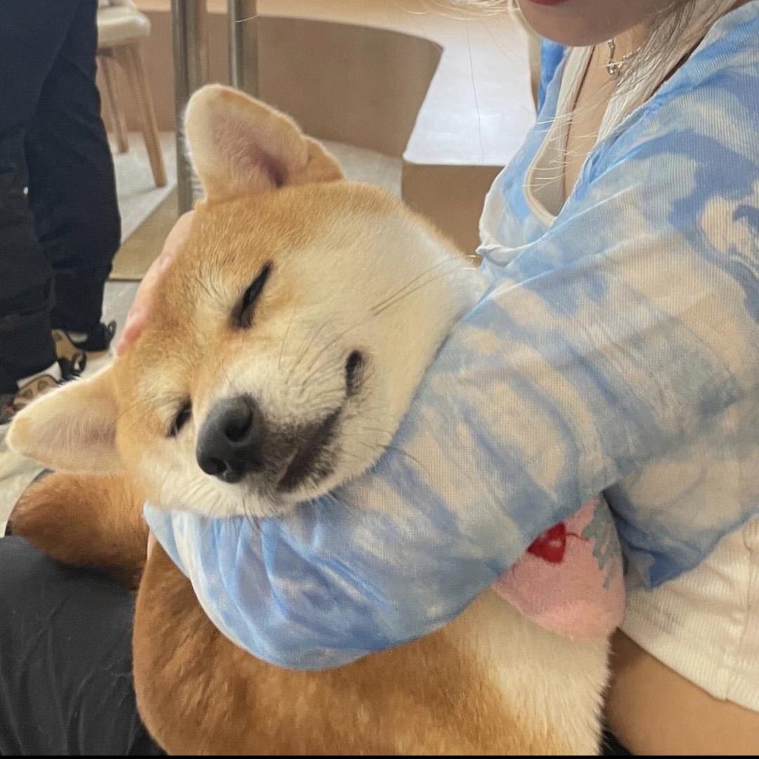 二一