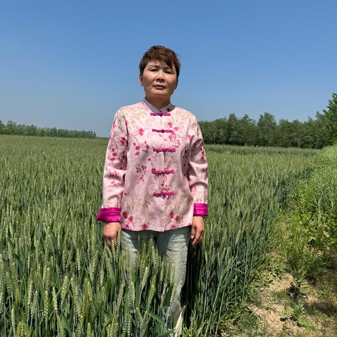 丰县天地种业优选玉米种