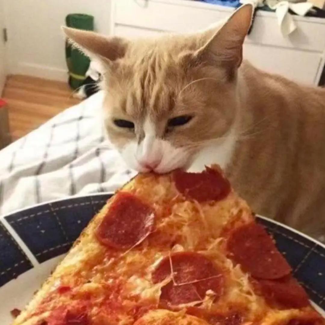 你盘里的好吃不