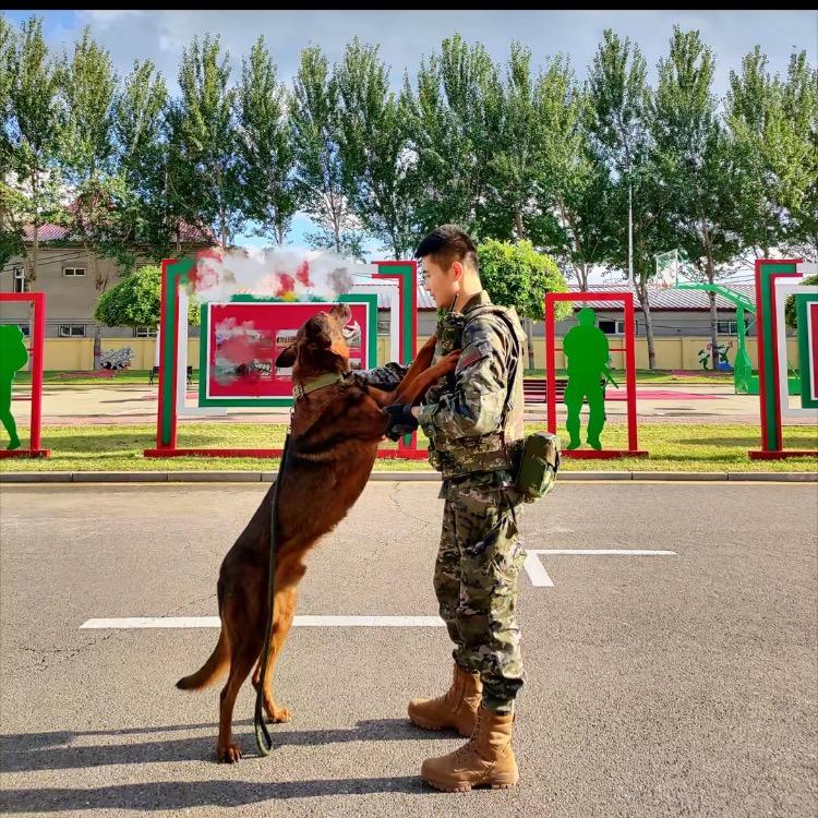 一起走过的路上
