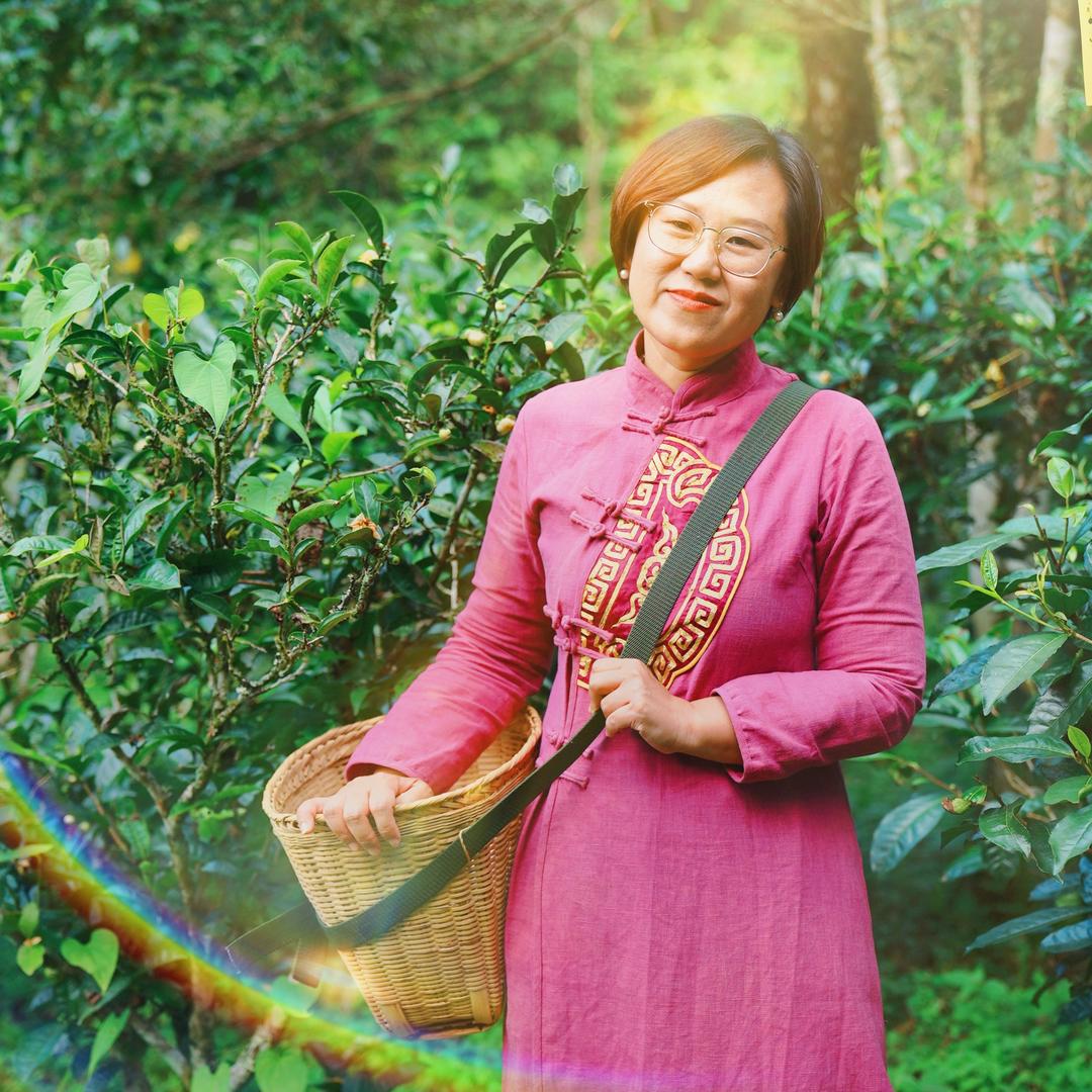 丽娟古树茶