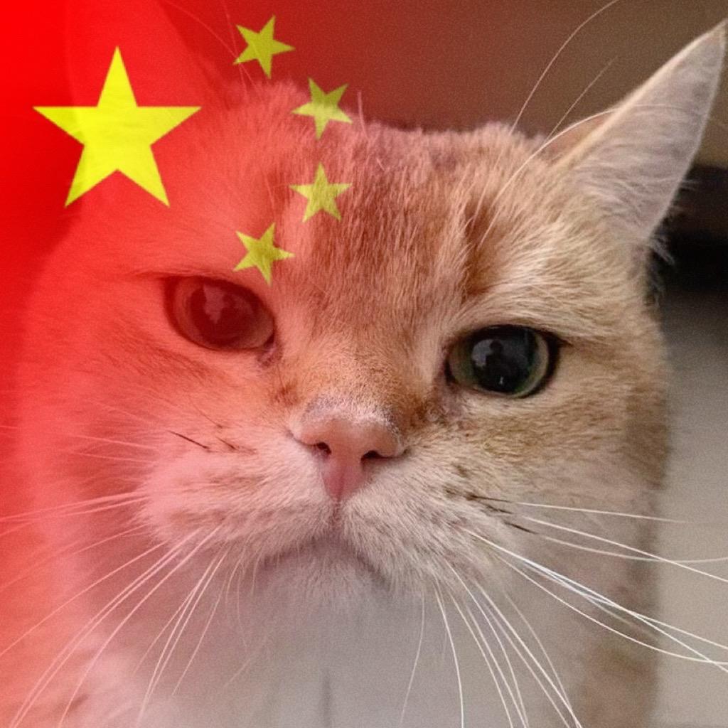 ZHANG.