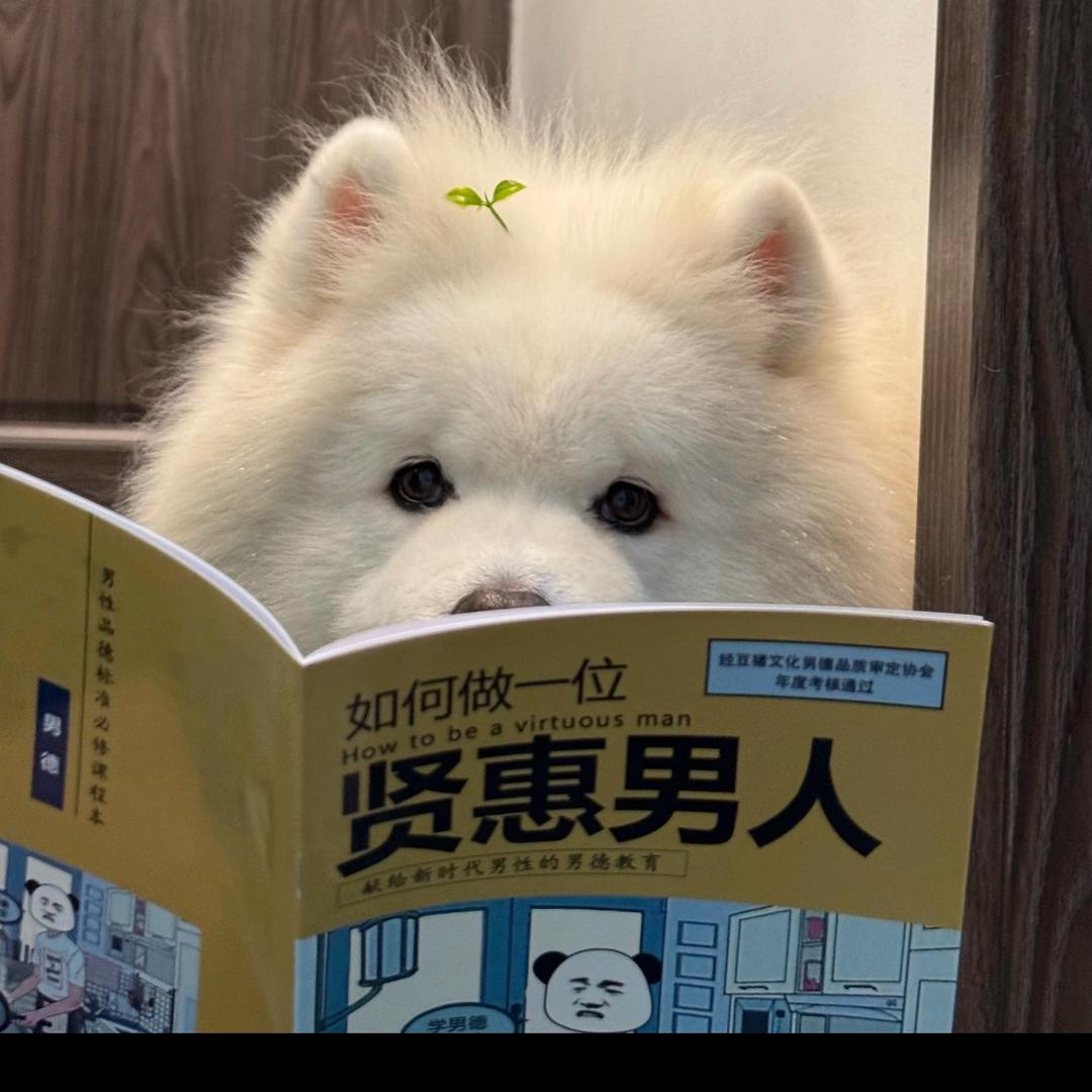 长夜难见明月