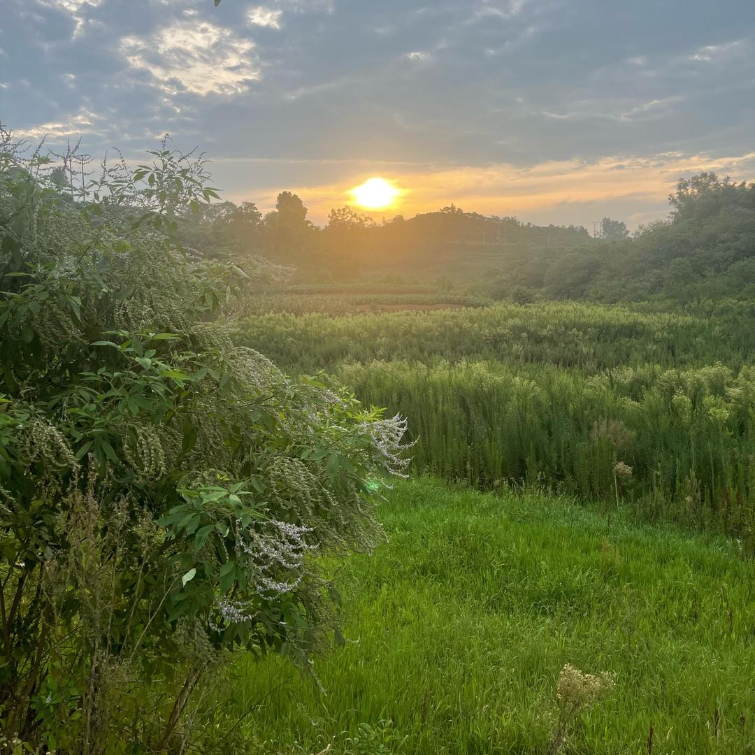 自贡锅二匠：美食教学