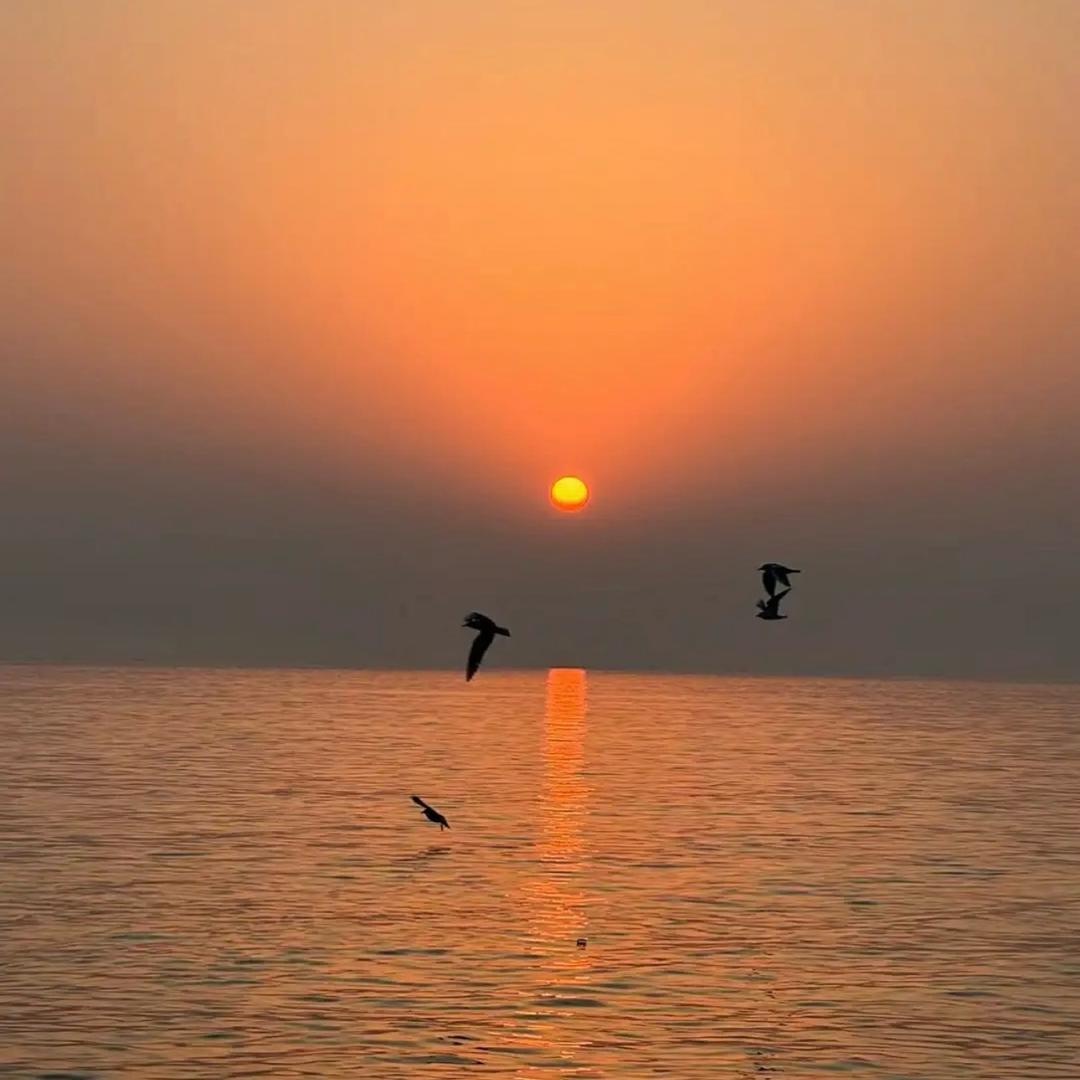 小生不才•᷄ࡇ•᷅