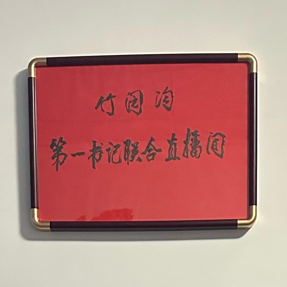 第一书记联合直播间(竹园沟）