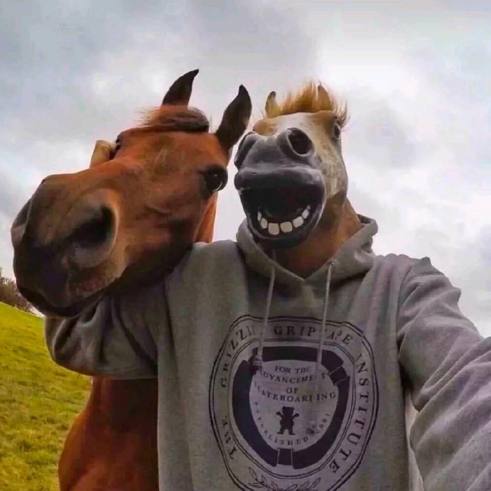 🐴