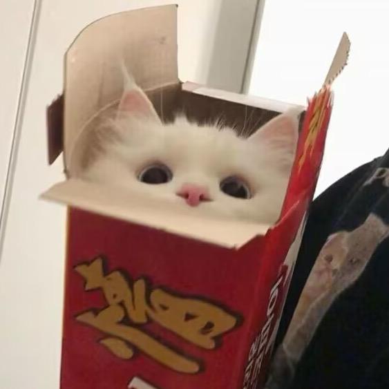 每天早起