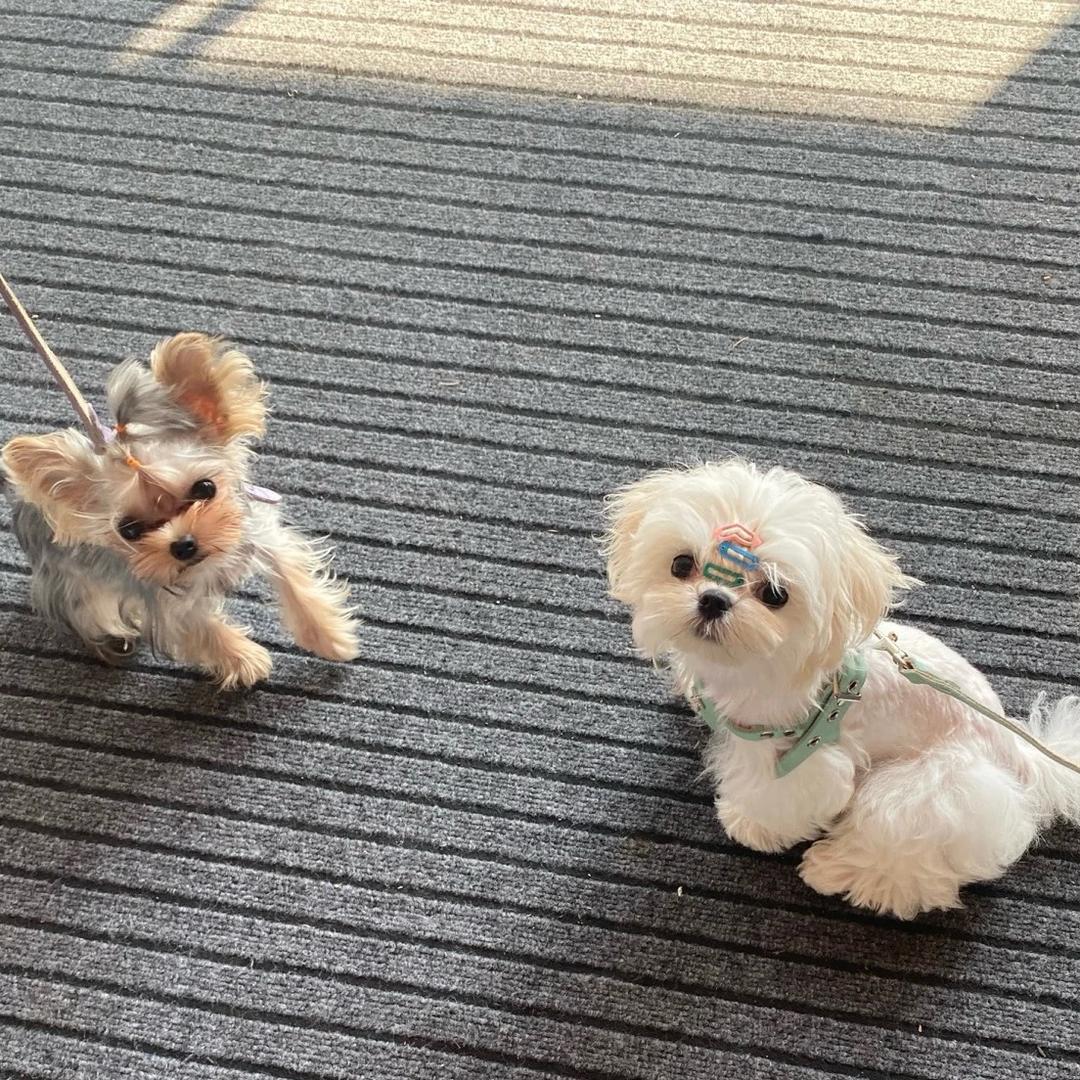 🫧Lucky_one