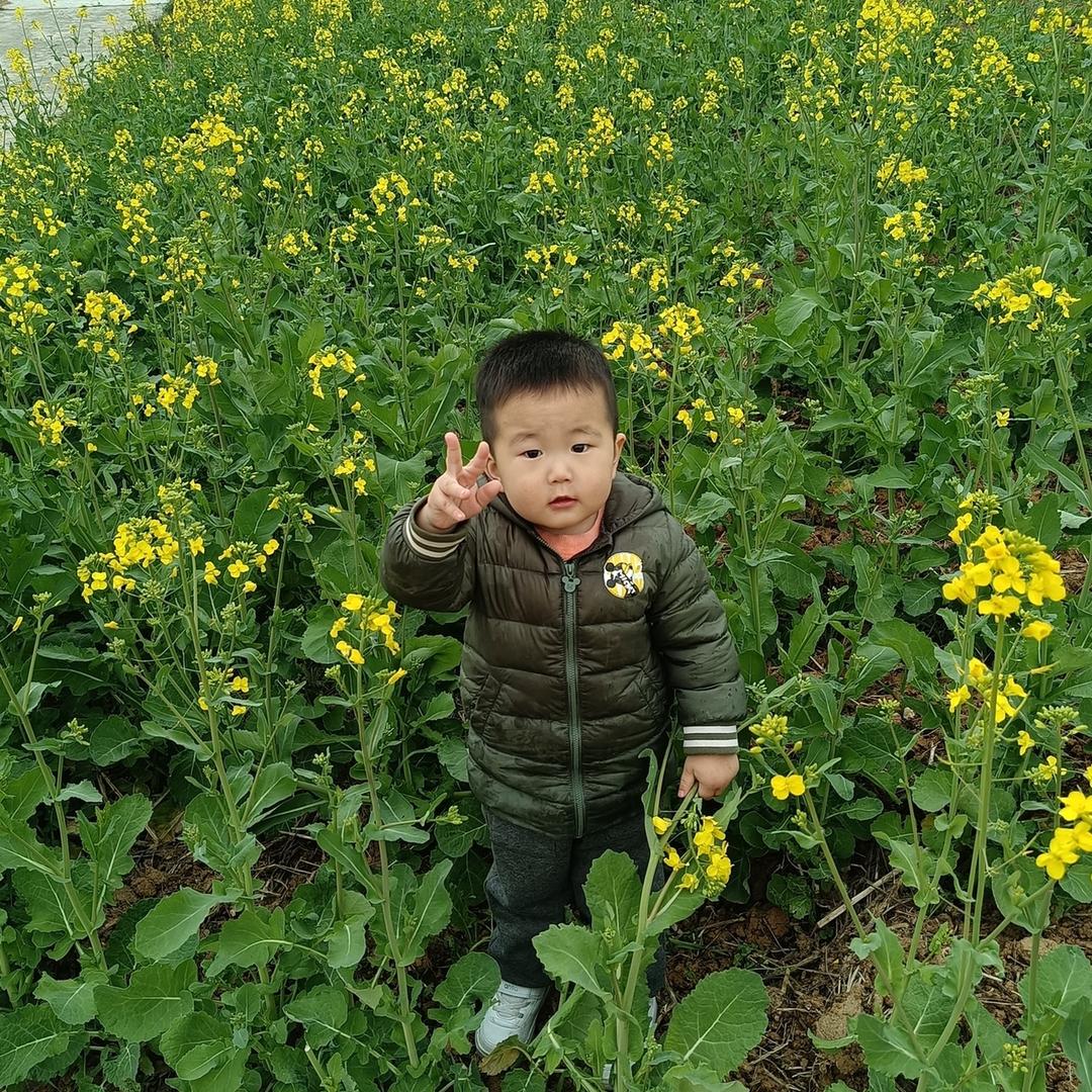漂泊