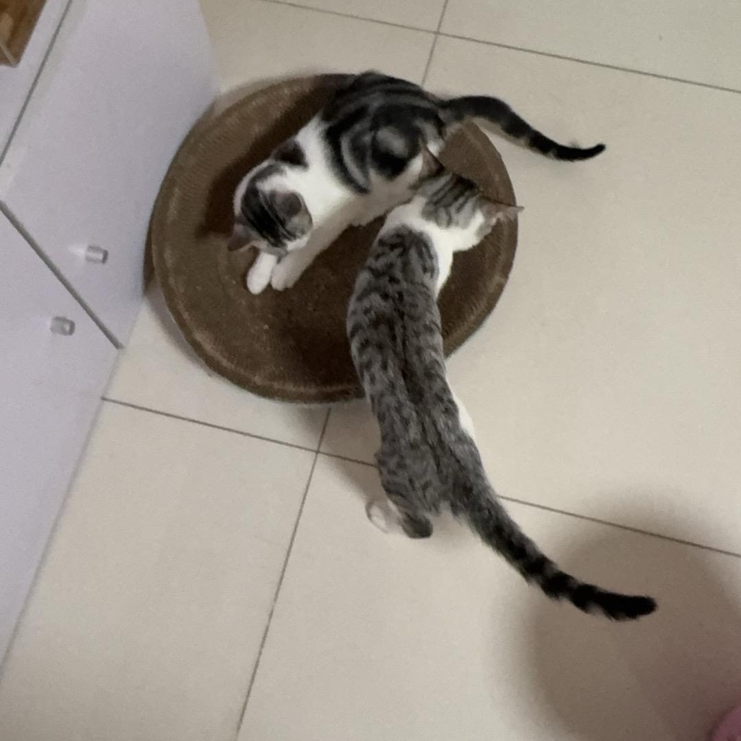 你说吧